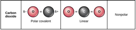 What are some nonpolar covalent bond examples in living things? | Socratic