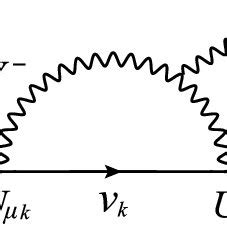 Standard Model Feynman Diagram for the µ → eγ process. | Download ...