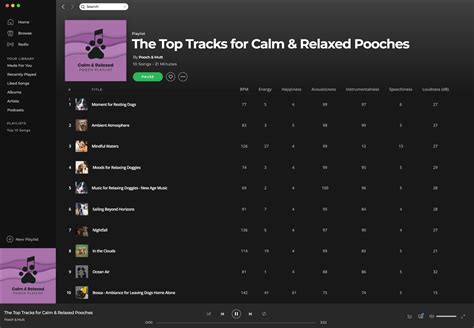 Calming Music for Dogs: Relaxed Pooch Playlist | Pooch & Mutt