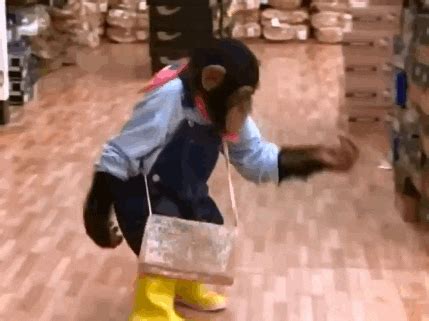 Boots The Monkey GIFs - Find & Share on GIPHY