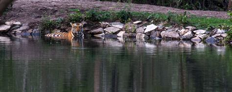 Kabini – Nagarhole National Park @ Fleeting Moments Photography