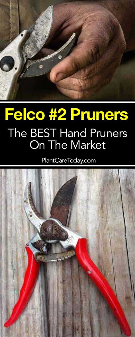 What Makes Felco #2 Pruners The Best Hand Pruners For Gardeners