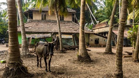 tarkarli village maharashtra - FootLoose Dev