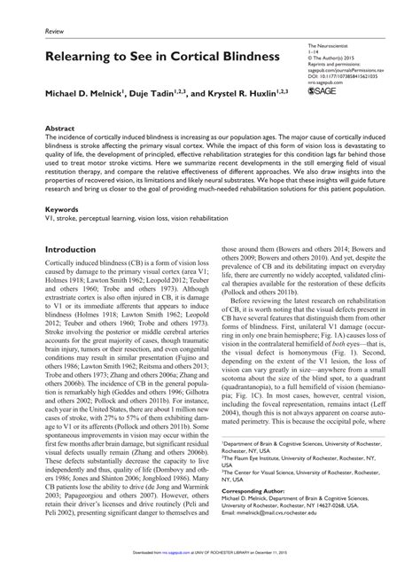 (PDF) Relearning to See in Cortical Blindness