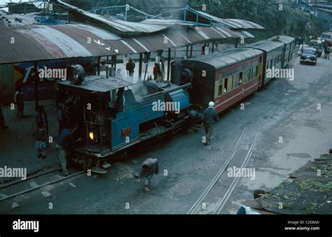 Darjeeling West Bengal India Stock Photo - Alamy