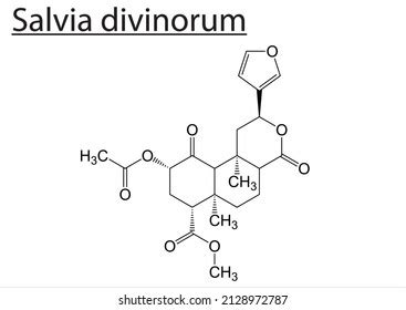 Chemical Molecule Structure Salvinorin Salvia Divinorum Stock Vector ...