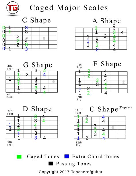 caged-major-scales-chart-in-c - Teacher of Guitar