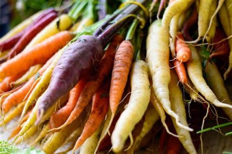 18 Best Carrot Varieties to Grow for a Colorful Harvest