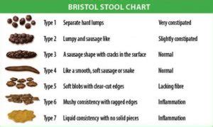 Dark Brown Stool, Meaning, Causes, During Pregnancy, Stomach Pain, Stool Color Chart, Treatment