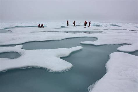 Massive Melting in Arctic is a Danger Signal of Manmade Climate Change