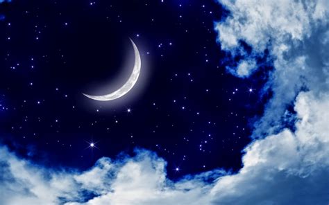 Moon light and stars night background with trees nature art images