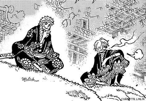 Zoro × Sanji | Manga anime one piece, One piece manga, One piece comic