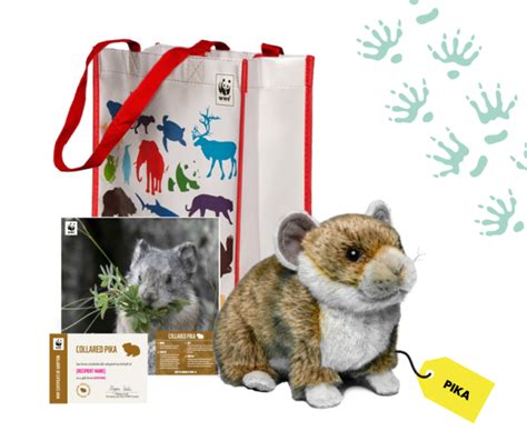 Gift Guide: 7 Eco-Friendly Gifts for the Holidays - WWF.CA