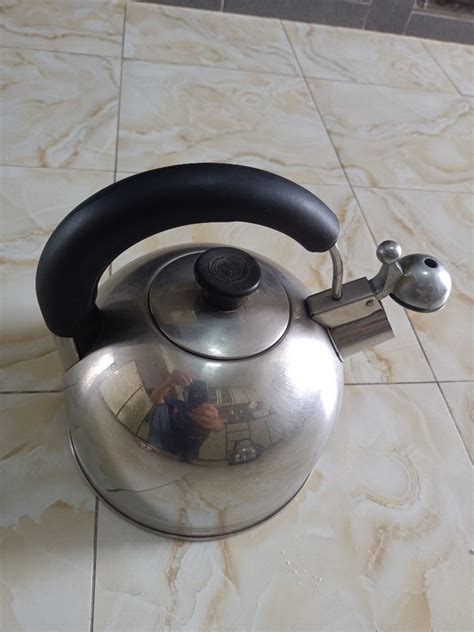 Stainless Steel Kettle, TV & Home Appliances, Kitchen Appliances ...