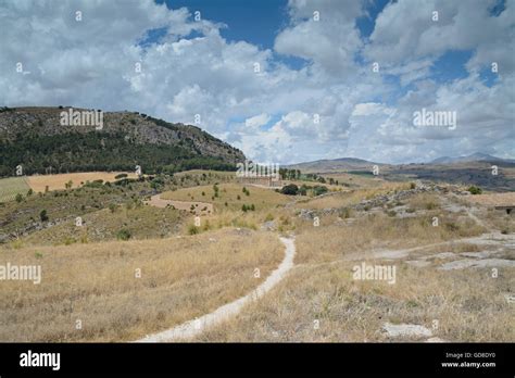 Temple at Segesta Stock Photo - Alamy