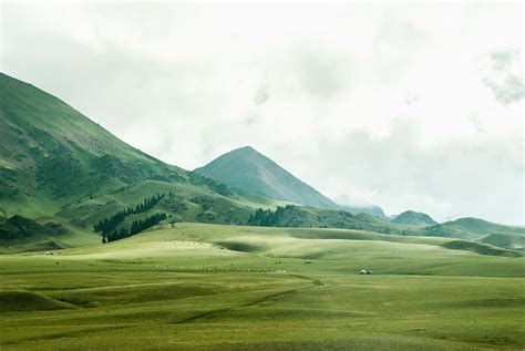 landscape bird's eye view of grassland beside mountain field Image - Free Stock Photo