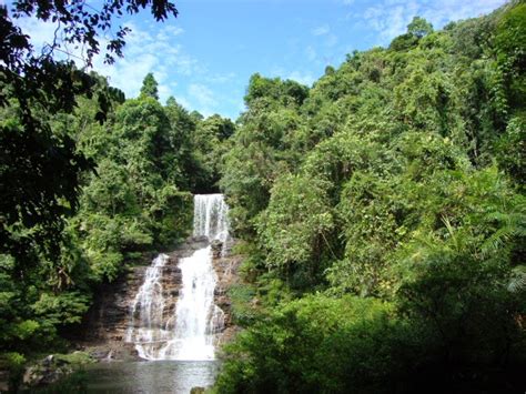 Sacred Groves: SACRED GROVES OF MEGHALAYA