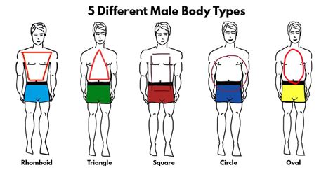 5-Different-Male-Body-Types ⋆ Best Fashion Blog For Men - TheUnstitchd.com