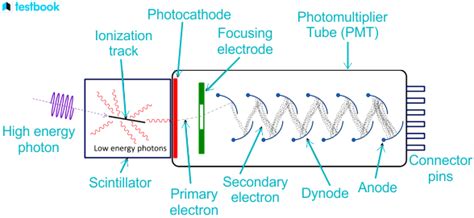 Scintillation Counter: Definition, Principle, Types, Applications