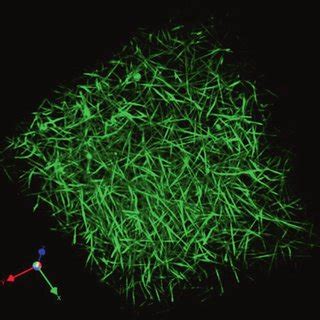 (PDF) Fibrin Formation, Structure and Properties