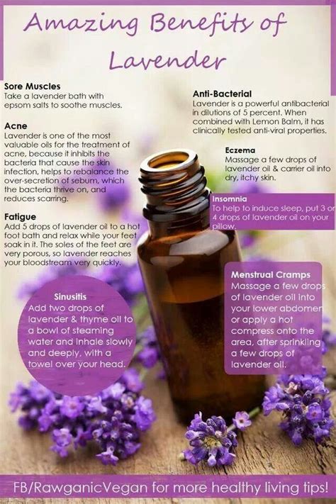 I can't live without my lavender. What a Godsend! | Lavender benefits, Living essentials oils ...