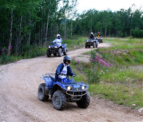 Denali Park Activities - Denali Dome Home Bed and Breakfast