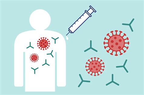 Antibody Testing After the COVID-19 Vaccine: What to Know If You’re Immunocompromised