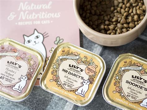 A Lily’s Kitchen Cat Food Review (By My Cats)