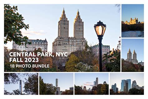 Central Park, NYC: Fall 2023 Photo Bundle by Full Circle Design Studio on Dribbble