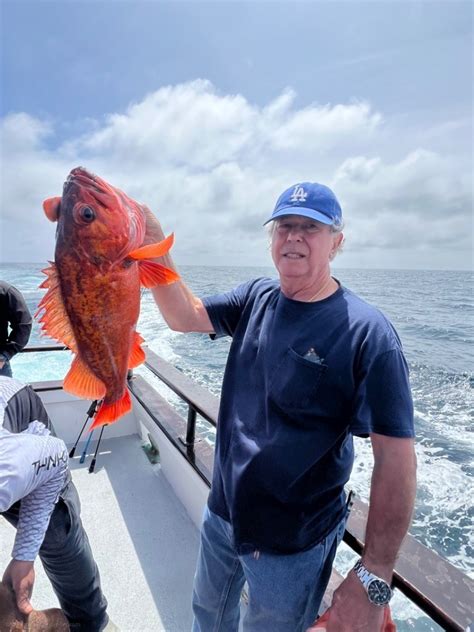 Eldorado Sportfishing Fish Report