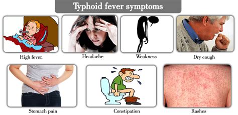 Sign And Symptoms Of Typhoid Fever Typhoid Fever Fever | SexiezPix Web Porn