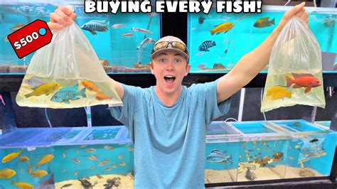 I BOUGHT EVERY FISH IN THE PET STORE! (EXPENSIVE) - YouTube