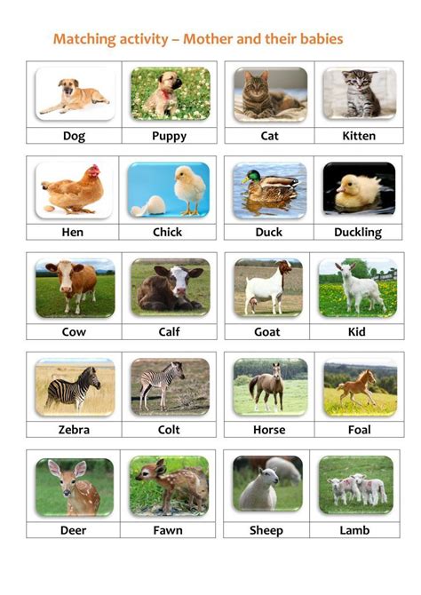 "Where Do Animals Live?" Printable Matching Game. TeachersMag.com | Mother and baby animals ...