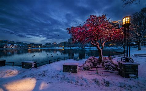 Wallpaper Norway, Rogaland, Stavanger, winter, snow, evening, lights, city, houses 1920x1200 HD ...