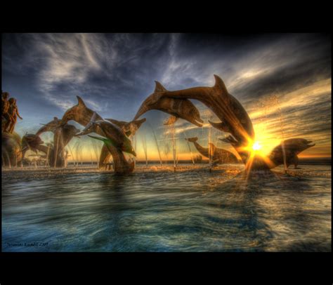 Wallpaper Dolphin Sunset - WallpaperSafari