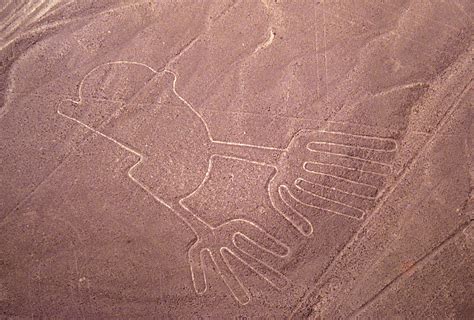 Peru Seeks to Protect Ancient Nazca Lines from El Niño | News | teleSUR ...