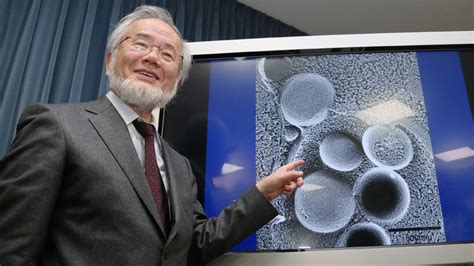 Understanding Autophagy: Nobel winning concept