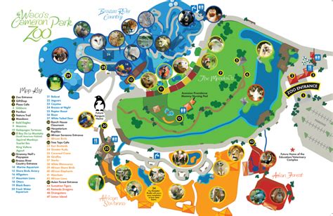 Cameron Park Zoo Map and Brochure (2024 - 2018) | ThemeParkBrochures.net