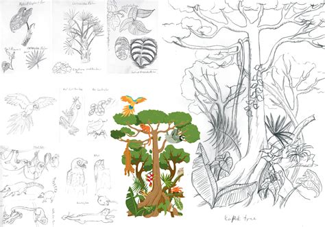 Sara Lynn Cramb's Portfolio - Layers of the Rainforest