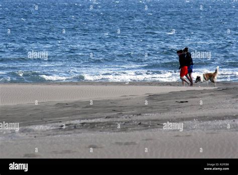 walk on the beach Stock Photo - Alamy