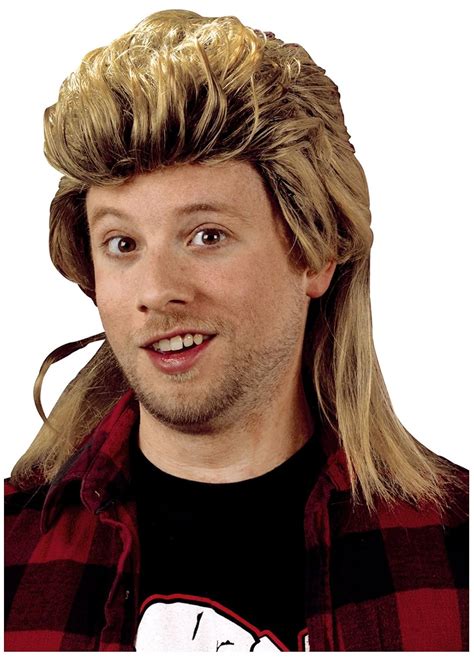 Joe Dirt Mullet Wig Images - Wig