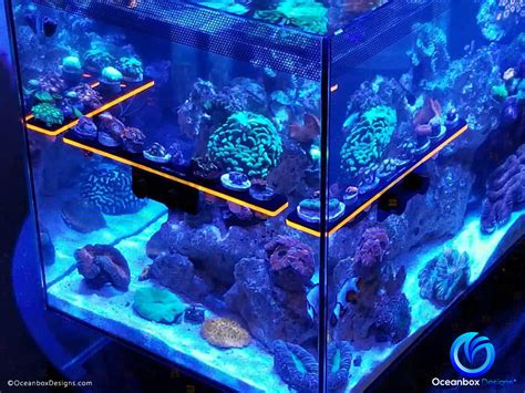 Frag Racks - Oceanbox Designs®