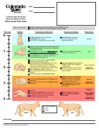 Mankoski Pain Scale Download Printable PDF | Templateroller