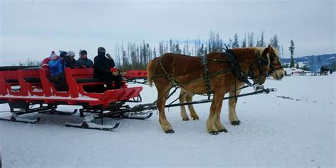 Dashing Thru the Snow Sleigh Rides | Winter sleigh ride in Fraser, CO