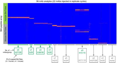 Antibody Epitope Mapping | Carterra