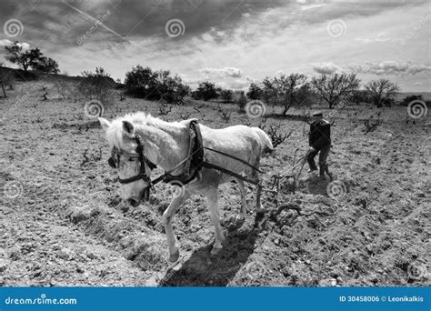 Plowing With A Horse Drawn And Children Editorial Photo | CartoonDealer ...