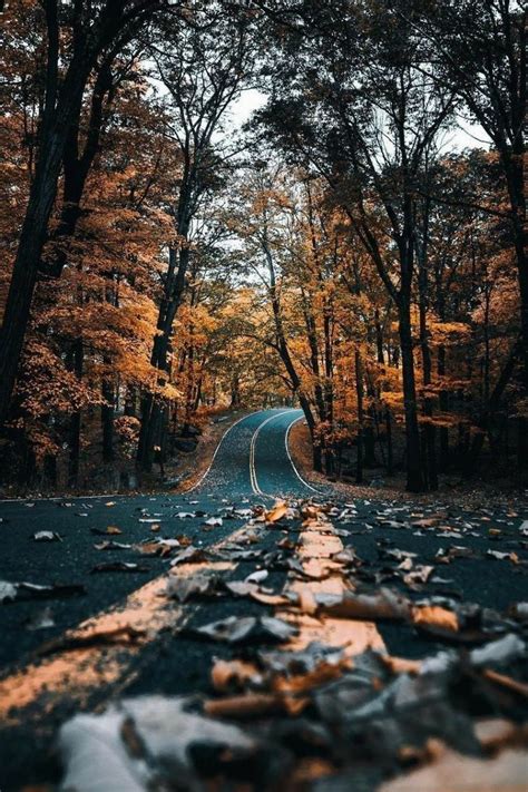 Road trip | Landscape photography, Landscape photography nature, Nature photography