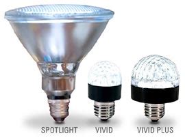 LED Light Bulbs | Root Simple