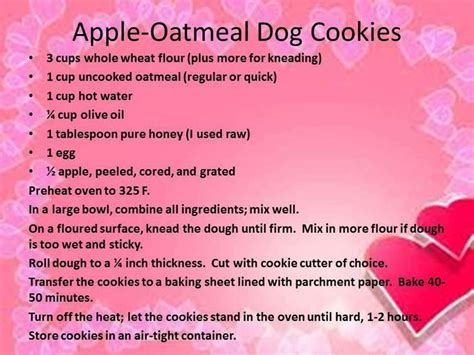 an apple - oatmeal dog cookie recipe with instructions on how to make it