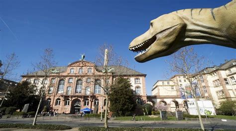 Best Museums of Frankfurt – Welcome to Traveling To World: The Smooth ...